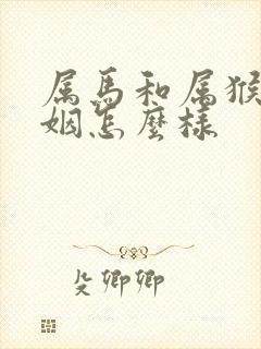 属马和属猴的婚姻怎么样