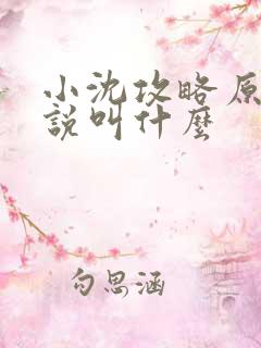 小沈攻略原著小说叫什么