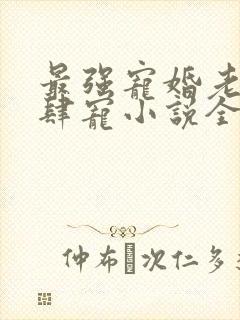 最强宠婚老公放肆宠小说全文免费