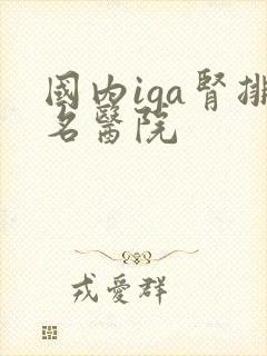 国内iga肾排名医院