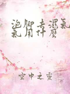 泡脚去湿气去寒气用什么