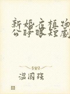 新婚夜植物人老公睁眼短剧