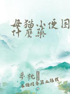 母猫小便困难吃什么药