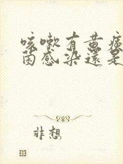 咳嗽有黄痰是细菌感染还是病毒感染