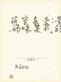 萌宝来袭:爹地,妈咪是我的小说