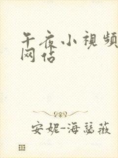 午夜小视频在线网站