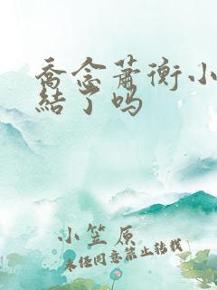 乔念萧衡小说完结了吗