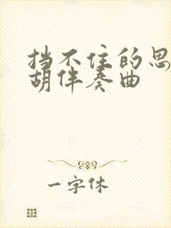 挡不住的思念二胡伴奏曲