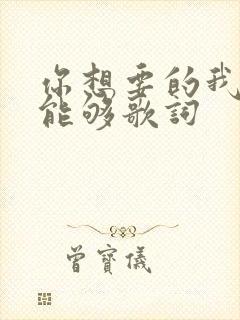 你想要的我却不能够歌词