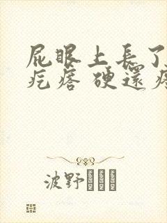 屁眼上长了一个疙瘩 硬还疼