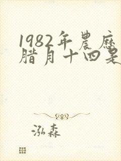 1982年农历腊月十四是什么星座