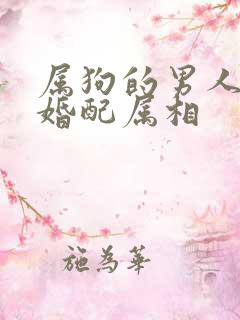 属狗的男人最佳婚配属相