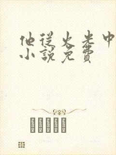 他从火光中走来小说免费