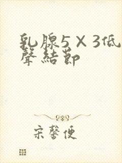 乳腺5×3低回声结节