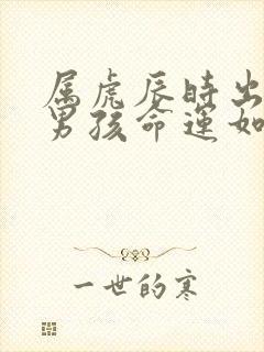 属虎辰时出生的男孩命运如何