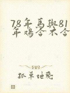 78年马与81年鸡合不合婚