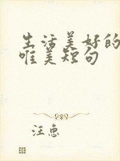 生活美好的句子唯美短句