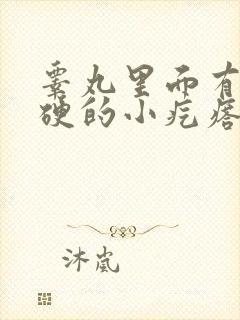 睾丸里面有个硬硬的小疙瘩用什么药治疗