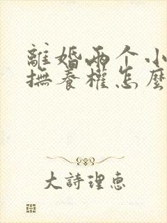 离婚两个小孩的抚养权怎么判