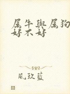 属牛与属狗婚配好不好