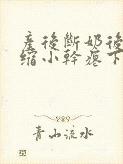 产后断奶后乳房缩小干瘪下垂怎么办