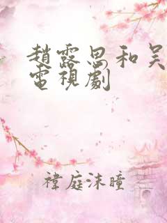 赵露思和吴磊的电视剧