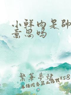 小鲜肉是帅哥的意思吗