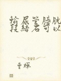 输尿管膀胱壁内段结石可以体外碎石吗