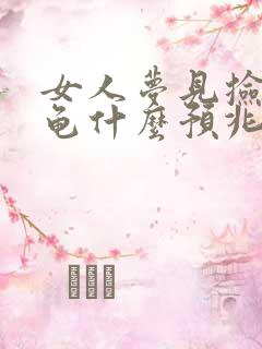 女人梦见捡到乌龟什么预兆