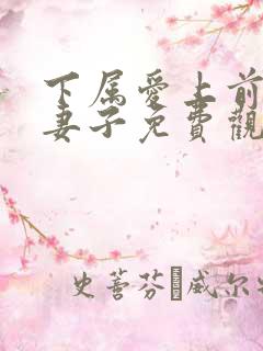 下属爱上前辈的妻子免费观看电视剧