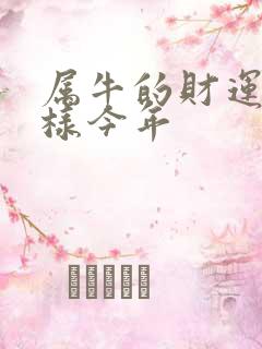 属牛的财运怎么样今年