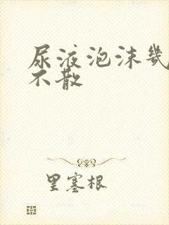 尿液泡沫几小时不散