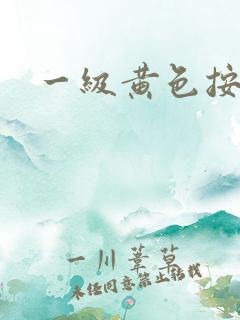 一级黄色按摩师