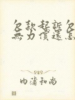 欠款起诉欠款人无力偿还怎么办