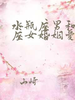 水瓶座男和水瓶座女婚姻爱情合适吗