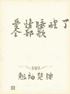 爱情睡醒了里的全部歌