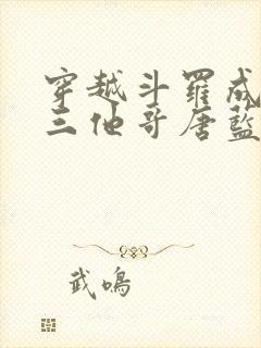 穿越斗罗成为唐三他哥唐蓝