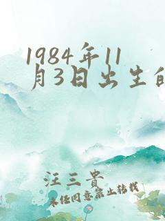 1984年11月3日出生的人命运如何