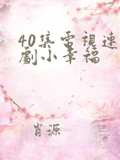 40集电视连续剧小幸福