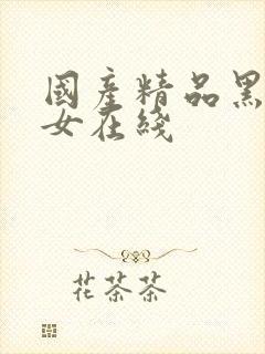 国产精品黑丝美女在线