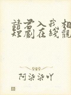 请君入我相思局短剧在线观看