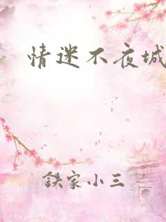 情迷不夜城