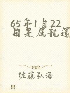 65年1月22日是属龙还是属蛇?