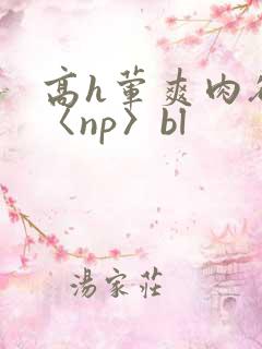 高h荤爽肉欲文〈np〉bl