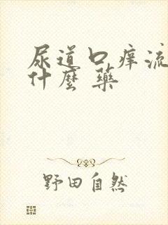 尿道口痒流脓吃什么 药