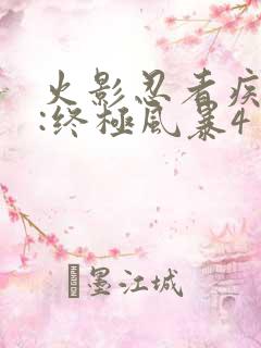 火影忍者疾风传:终极风暴4