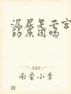 漏尿是子宫脱垂的原因吗