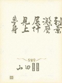 梦见屎溅到自己身上什么意思