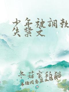 少年被调教爽到失禁文