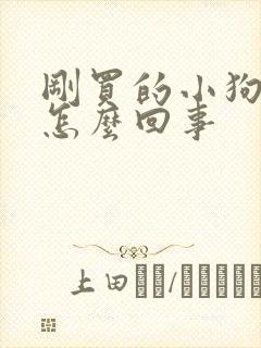 刚买的小狗拉稀怎么回事